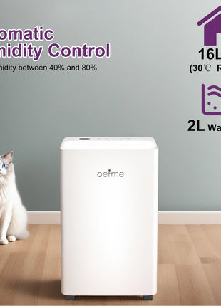 LOEFME Deumidificatore Elettrico Sbrinamento 24H Timer Smart Home Camera Da Letto Seminterrato Automatico 16L/24H 2L Serbatoio Acqua con Ruote Tubi