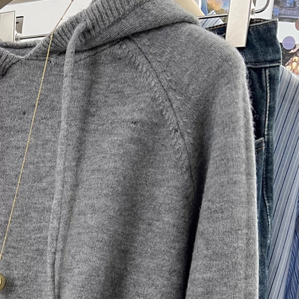Hooded loose pullover 100%cashmere sweater  versatile solid-color wool knitted base layer for women 2025 new autumn and winter PlatiNum