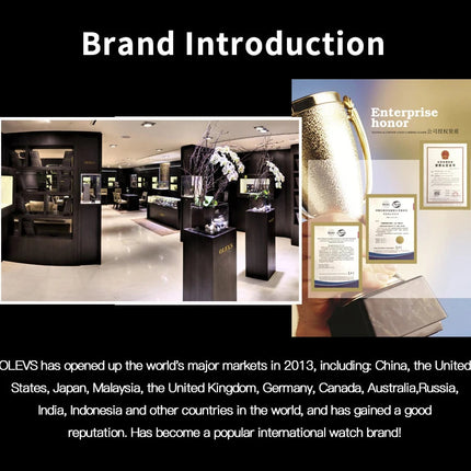 OLEVS Orologi al quarzo da uomo Orologi di marca in acciaio inossidabile Orologio sportivo impermeabile per uomo Cronografo con fasi lunari platinumshop