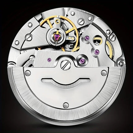 Dianpai Orologio meccanico automatico con cinturino luminoso in acciaio inossidabile, orologio nazionale da uomo alla moda. platinumshop