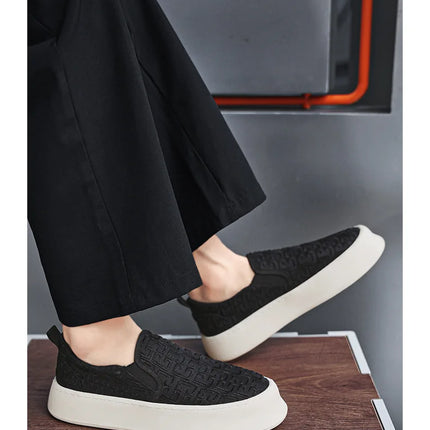 2025 Autumn New Fashion Shallow Mouth Casual Canvas Shoes for Men Breathable Comfortable Niche Design Versatile Chunky Sneakers