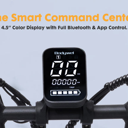 Bicicletta Elettrica Fat Tire Commuter Bodywel F20 500W 48V 15Ah con Autonomia 60-80KM, Pneumatici Fat 20"x3.0", 7 Velocità e Sospensione Anteriore per Adulti Urbani