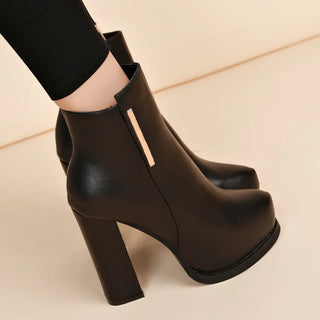 Autumn Winter Plush Boots Women British Thick Heel Waterproof Platform Thick Bottom Short Boot High Heels Lady