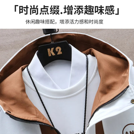 Windbreaker Regular Zipper Jacket 2023 Spring Men's Hooded Trend Printed Jacket Hip Hop Top Men's Low Price