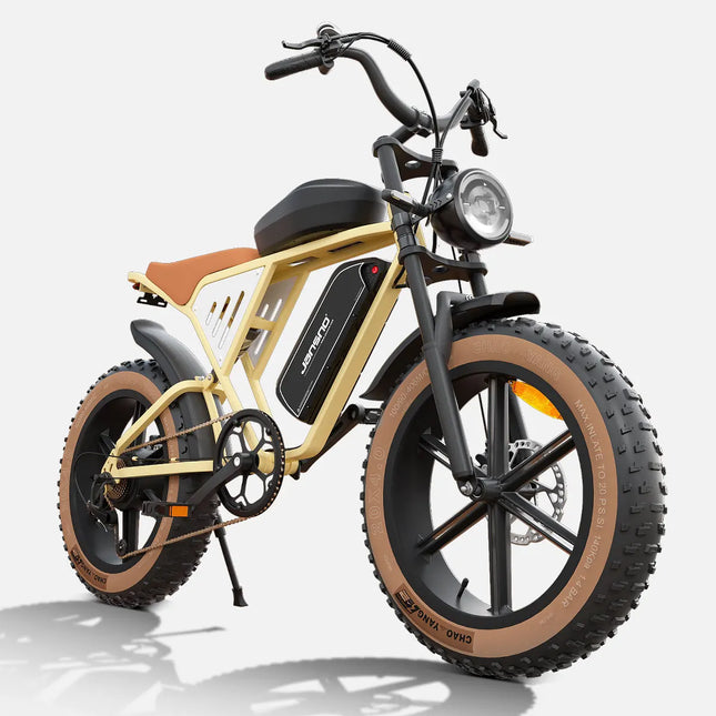 JANSNO X70G 750W 48V 37AH Electric Bicycle for Adults with Removable Dual Battery, 20-inch Fat Tires, All-Terrain Off-Road E-Bike