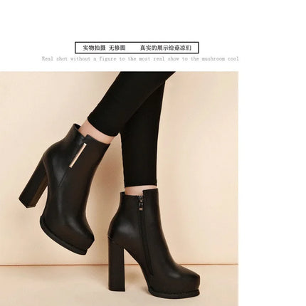 Autumn Winter Plush Boots Women British Thick Heel Waterproof Platform Thick Bottom Short Boot High Heels Lady