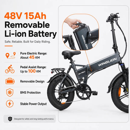 Nuova Bicicletta Elettrica Pieghevole WINGLION eb-fm2.0, Motore 720W, Batteria 48V 15AH, Pneumatici Larghi 20 "x4.0, Freno Idraulico, Ideale per Adulti, Città, Casa, Lavoro