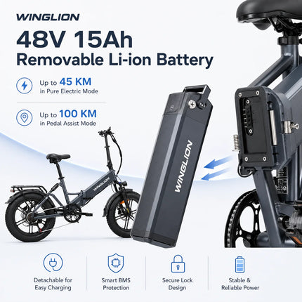 WINGLION EB-FF2.0 Bicicletta Elettrica Pieghevole da Donna, Motore 750W, Batteria 48V 15Ah, Autonomia 100KM, Velocità 40KM/H, Pneumatici Fat 4.0 da 20 Pollici, E-bike Pieghevole per Tutti i Terreni
