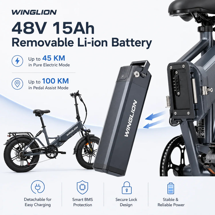 WINGLION EB-FF2.0 Bicicletta Elettrica Pieghevole da Donna, Motore 750W, Batteria 48V 15Ah, Autonomia 100KM, Velocità 40KM/H, Pneumatici Fat 4.0 da 20 Pollici, E-bike Pieghevole per Tutti i Terreni