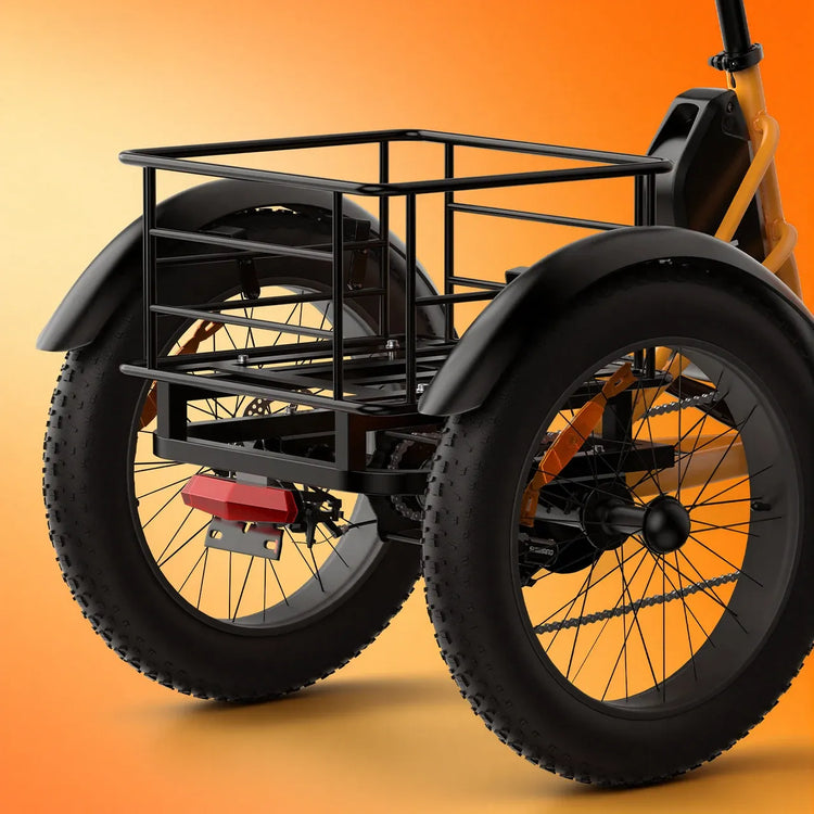 Triciclo Elettrico con Pneumatici Fat da 20*4.0 Pollici, E-bike da Carico PVY F20 con Robusto Cesto Posteriore, Motore da 1000W, Coppia di 80N.M, Forcella Ammortizzata Bloccabile, Carico Massimo 150kg