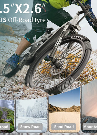 DUOTTS E29 E-bike con Motore 250W, Batteria al Litio 48V 13.5Ah, Bicicletta Elettrica con Pneumatici Fat da 27.5 Pollici, Velocità Fuoristrada 25 km/h
