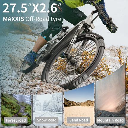 DUOTTS E29 E-bike con Motore 250W, Batteria al Litio 48V 13.5Ah, Bicicletta Elettrica con Pneumatici Fat da 27.5 Pollici, Velocità Fuoristrada 25 km/h