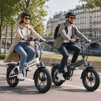 Bicicletta elettrica pieghevole PULUMA FM2.0 con motore da 500W, batteria rimovibile 48V15AH, pneumatici all-terrain da 20*4 pollici, e-bike da montagna per adulti, velocità 25-40km/h, freni a disco idraulici a 7 velocità,