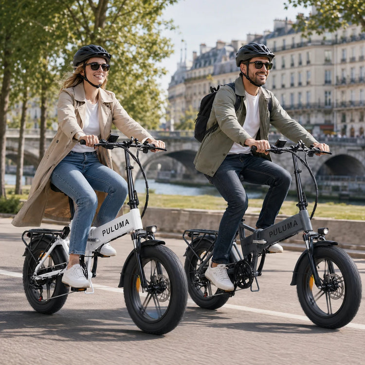 Bicicletta elettrica pieghevole PULUMA FM2.0 con motore da 500W, batteria rimovibile 48V15AH, pneumatici all-terrain da 20*4 pollici, e-bike da montagna per adulti, velocità 25-40km/h, freni a disco idraulici a 7 velocità,