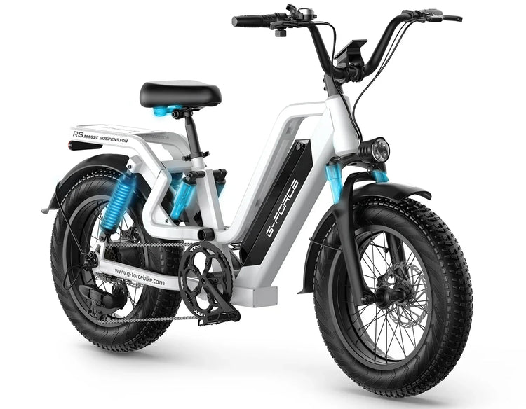 Bicicletta Elettrica G-FORCE RS ST per Tutti i Terreni, Potenza 750W, Batteria 48V15Ah, Bici Elettrica per Adulti, Pneumatici Larghi 20*4 Pollici per Tutti i Terreni