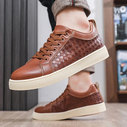 New Spring Autumn Low Cut Men's Board Shoes Fashion Lightweight Plaid Men's Casual Single Shoes
