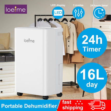 LOEFME Deumidificatore Elettrico Sbrinamento 24H Timer Smart Home Camera Da Letto Seminterrato Automatico 16L/24H 2L Serbatoio Acqua con Ruote Tubi