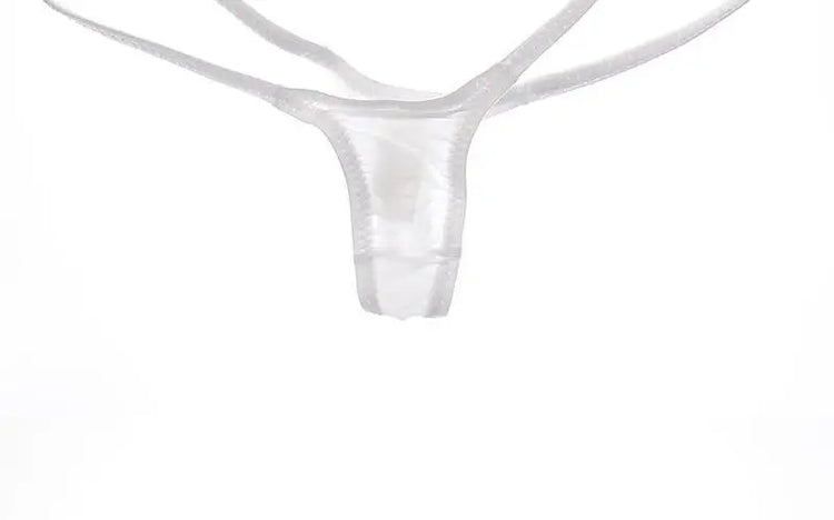 Women's Thin Ice Silk High Elastic Thong Mini Low-rise Sexy Sheer Single Layer Underwear
