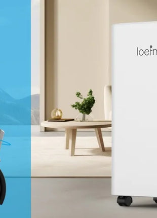 LOEFME Deumidificatore Elettrico Sbrinamento 24H Timer Smart Home Camera Da Letto Seminterrato Automatico 16L/24H 2L Serbatoio Acqua con Ruote Tubi