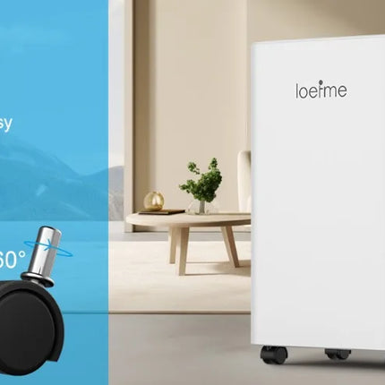 LOEFME Deumidificatore Elettrico Sbrinamento 24H Timer Smart Home Camera Da Letto Seminterrato Automatico 16L/24H 2L Serbatoio Acqua con Ruote Tubi
