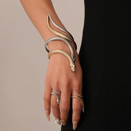Offerta Speciale: Set di 2 Bracciali e Anelli a Forma di Serpente Punk, Bracciali Apribili a Spirale e Anelli per Dita, Gioielli per Mani Unisex platinumshop