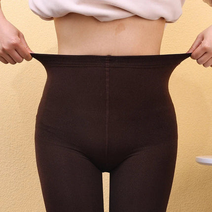 New Women Winter Thermal Leggings Warm High Waist Slim Thicken Velvet Tight Pants Pantyhose Fleece Stretchy Leggings Stockings PlatiNum