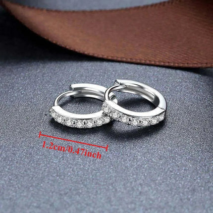 925 Sterling Silver Shining Zircon Earrings for Women Vintage Simple Round Circle Hoop Earrings Designer Party Jewelry Gifts PlatiNum