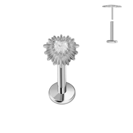 ASTM F136 G23 Orecchino a forma di cuore in titanio 16G 18G 20G Piercing senza filettatura Farfalla Push in Lip Stud Daith Labret Conch platinumshop