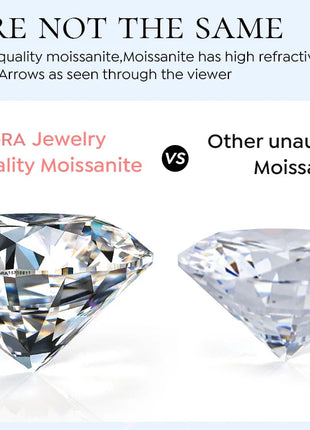 DW Certified Moissanite Diamond Stud Earrings for Women 925 Sterling Silver Round Halo Earrings Luxury Wedding Fine Jewelry PlatiNum