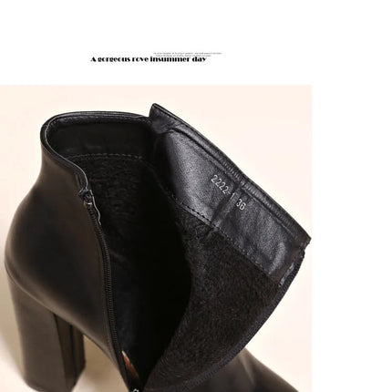 Autumn Winter Plush Boots Women British Thick Heel Waterproof Platform Thick Bottom Short Boot High Heels Lady
