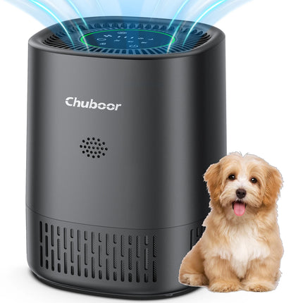 Chuboor Purificatori d'Aria per Camera da Letto Casa, Detergente per Filtri con Filtri in Spugna Allergie di Fumo Scatola di Animali Domestici Odore Polvere, Ufficio, Desktop