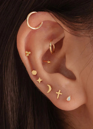 CANNER 1PC 925 Sterling Silver Exquisite Crown Opal Piercing Earring for Women Ear Studs Cartilage Earring Body Jewelry Gift PlatiNum