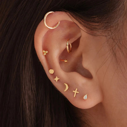 CANNER 1PC 925 Sterling Silver Exquisite Crown Opal Piercing Earring for Women Ear Studs Cartilage Earring Body Jewelry Gift PlatiNum