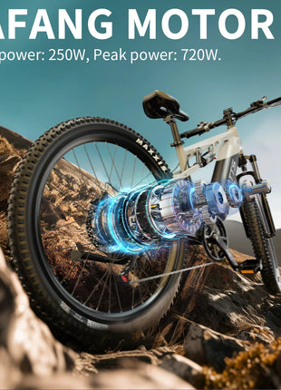 DUOTTS E29 E-bike con Motore 250W, Batteria al Litio 48V 13.5Ah, Bicicletta Elettrica con Pneumatici Fat da 27.5 Pollici, Velocità Fuoristrada 25 km/h