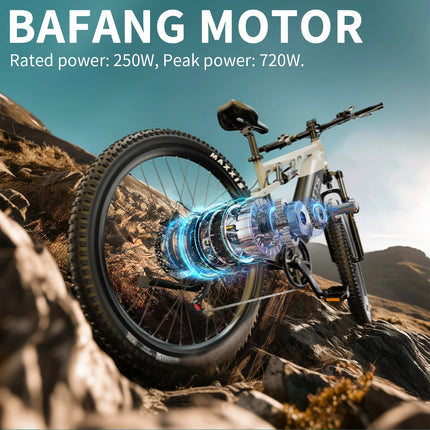 DUOTTS E29 E-bike con Motore 250W, Batteria al Litio 48V 13.5Ah, Bicicletta Elettrica con Pneumatici Fat da 27.5 Pollici, Velocità Fuoristrada 25 km/h