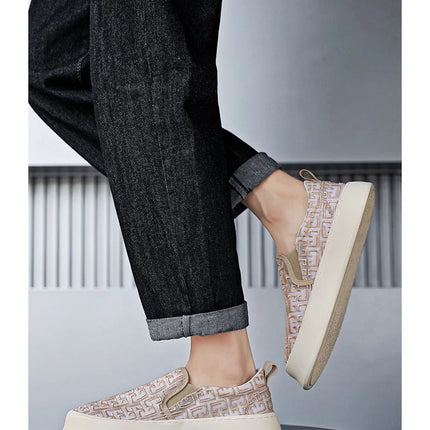 2025 Autumn New Fashion Shallow Mouth Casual Canvas Shoes for Men Breathable Comfortable Niche Design Versatile Chunky Sneakers