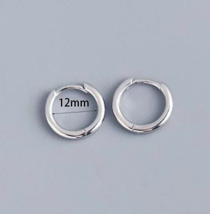 2 pezzi piccoli orecchini a cerchio piccoli Huggie in acciaio inossidabile per le donne cerchio rotondo punk unisex orecchini rock gioielli penetranti della cartilagine PlatiNum