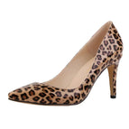 Leopard / 37
