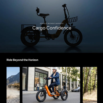 Triciclo Elettrico con Pneumatici Fat da 20*4.0 Pollici, E-bike da Carico PVY F20 con Robusto Cesto Posteriore, Motore da 1000W, Coppia di 80N.M, Forcella Ammortizzata Bloccabile, Carico Massimo 150kg