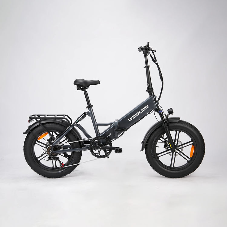 WINGLION EB-FF2.0 Bicicletta Elettrica Pieghevole da Donna, Motore 750W, Batteria 48V 15Ah, Autonomia 100KM, Velocità 40KM/H, Pneumatici Fat 4.0 da 20 Pollici, E-bike Pieghevole per Tutti i Terreni
