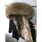 Raccoon lining-2