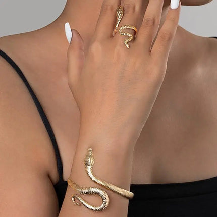 Offerta Speciale: Set di 2 Bracciali e Anelli a Forma di Serpente Punk, Bracciali Apribili a Spirale e Anelli per Dita, Gioielli per Mani Unisex platinumshop