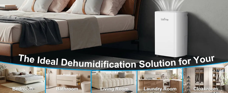 LOEFME Deumidificatore Elettrico Sbrinamento 24H Timer Smart Home Camera Da Letto Seminterrato Automatico 16L/24H 2L Serbatoio Acqua con Ruote Tubi