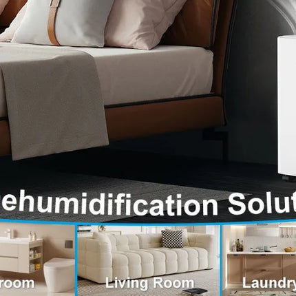 LOEFME Deumidificatore Elettrico Sbrinamento 24H Timer Smart Home Camera Da Letto Seminterrato Automatico 16L/24H 2L Serbatoio Acqua con Ruote Tubi