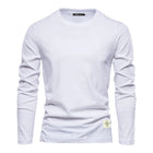 100% Cotton Long Sleeve T shirt For Men Solid Spring Casual Mens T-shirts High Quality Male Tops Classic Clothes Men's T-shirts PlatiNum