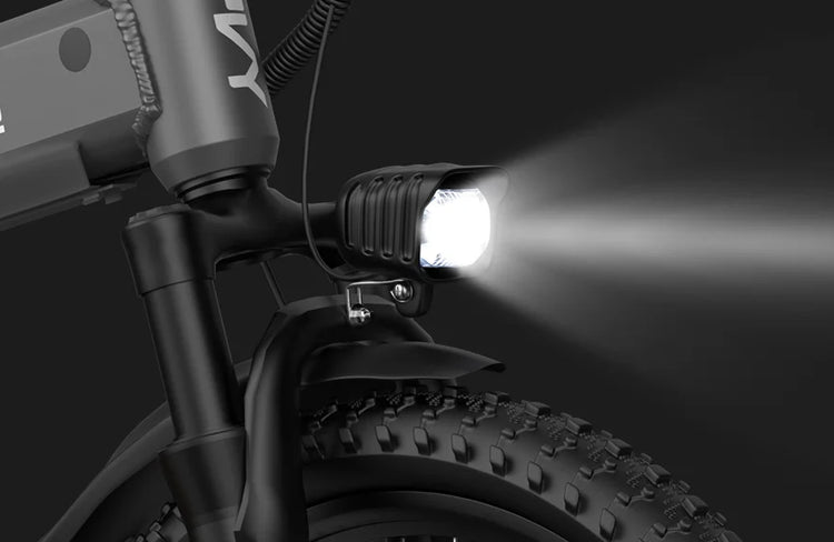 Biciclette Elettriche Pieghevoli PVY Z20 PRO EVO con Sensore di Coppia, 50N.m 250W 36V 14.5Ah Batteria per E-bike da Pendolarismo con App Intelligente