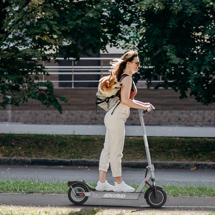 Scooter elettrico IENYRID M1 250W 36V 12,5 AH Batteria Pneumatici da città da 10 pollici Display digitale intelligente a LED Scooter da città per adulti