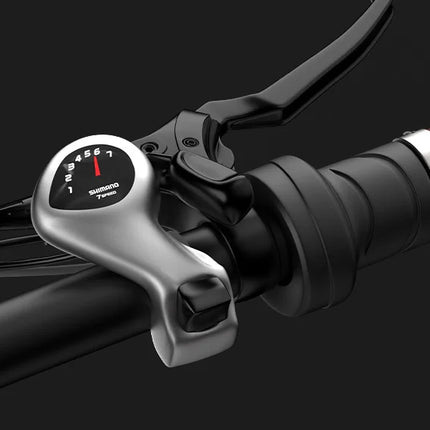 Bicicletta Elettrica PVY Z20 MAX, Sensore di Coppia, Motore da 750W, Doppia Batteria 36V25.6Ah, Pneumatici da 20*2.3 pollici, Autonomia Massima 200km, Freno Idraulico