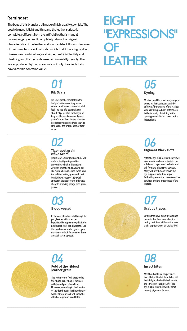 BAFELLI Borsa da donna in pelle di lusso 2025 Nuovo modello Borsa a tracolla portatile multi-scomparto di grande capacità Pendolari di moda