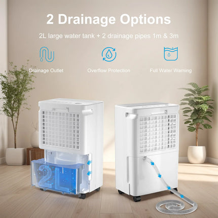 LOEFME Deumidificatore Elettrico Sbrinamento 24H Timer Smart Home Camera Da Letto Seminterrato Automatico 16L/24H 2L Serbatoio Acqua con Ruote Tubi